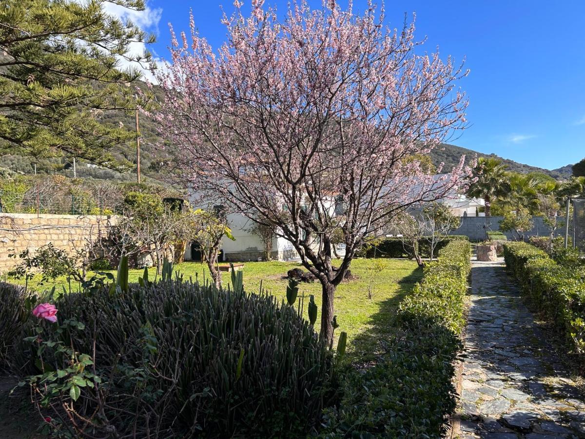 Petite Le Clan Vakantiehuis Ajaccio (Corsica)