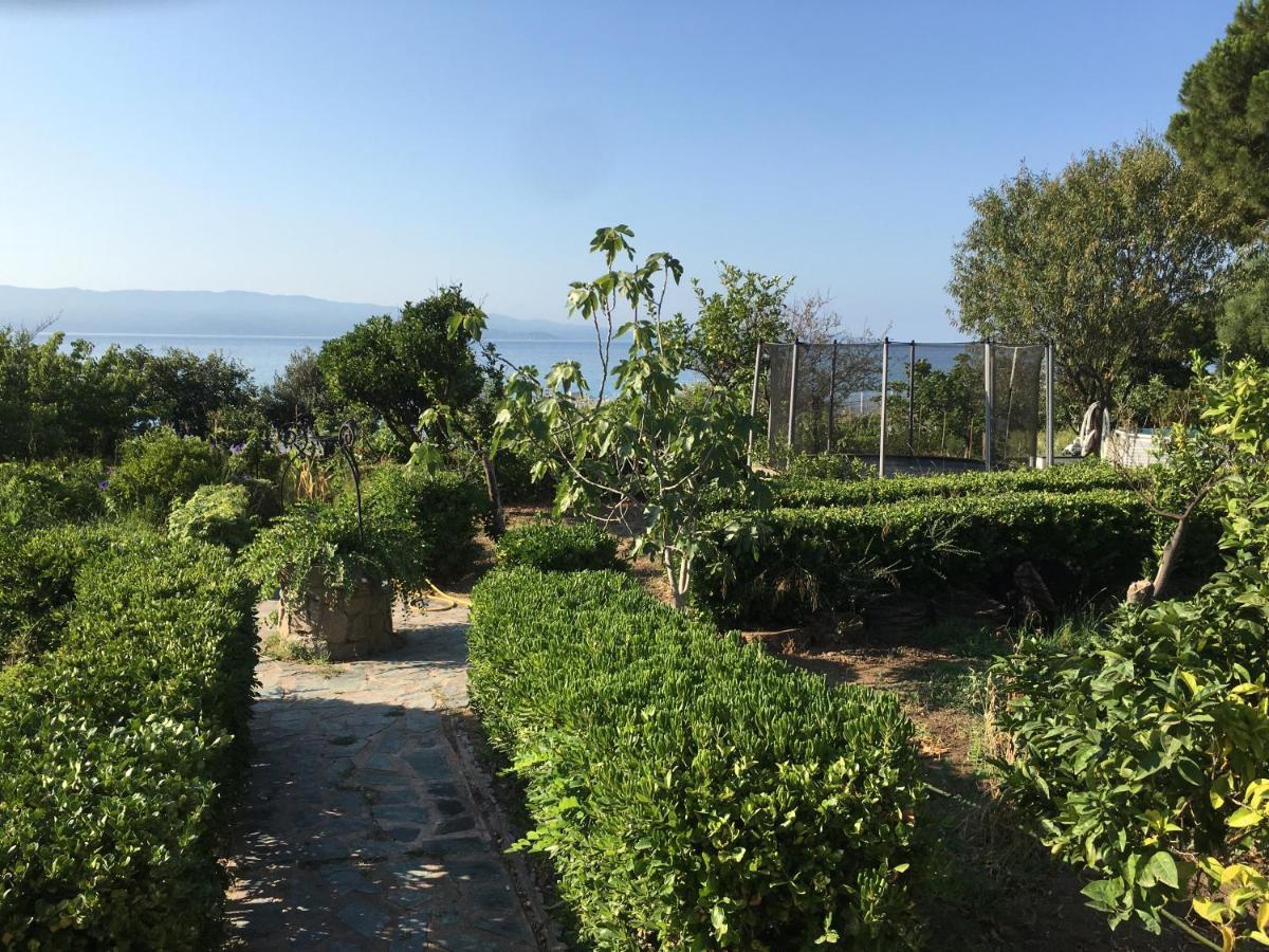 Petite Le Clan Ajaccio (Corsica)